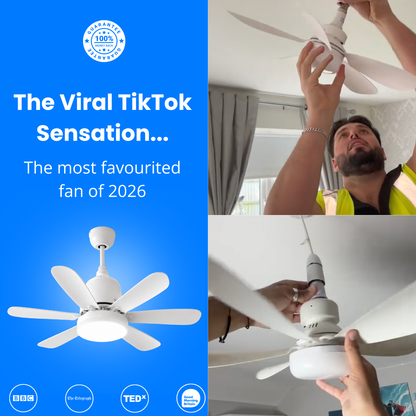 Lum Air Fan™